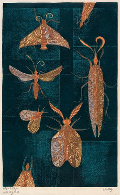 Eileen Mayo Moths on the Window 1969. Relief print. Purchased, 2005. Reproduced courtesy of Dr Jillian Cassidy