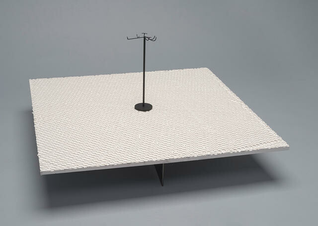 Eyles' harrier, Circus teauteensis