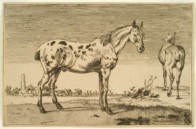 Image: uploads/2025_11/80_51.jpg