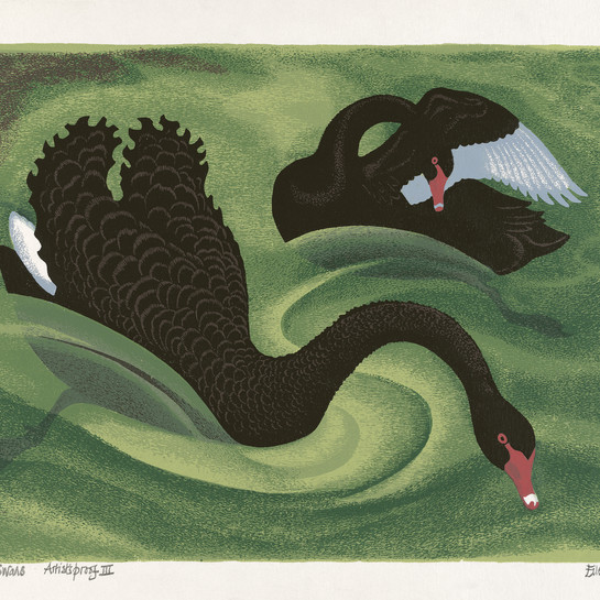 Eileen Mayo Black Swans 1983. Screenprint. Ngaire and George Hewson collection