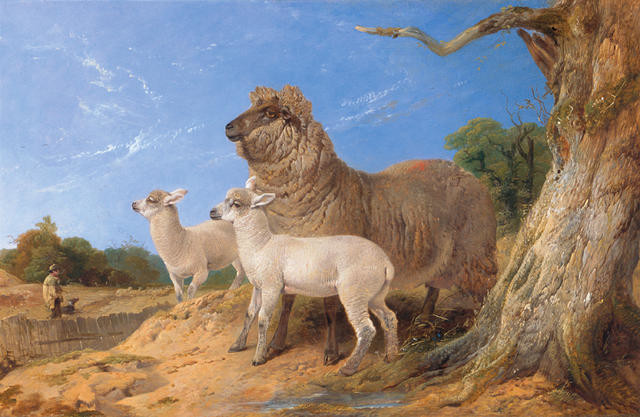 Ewe With Lambs
