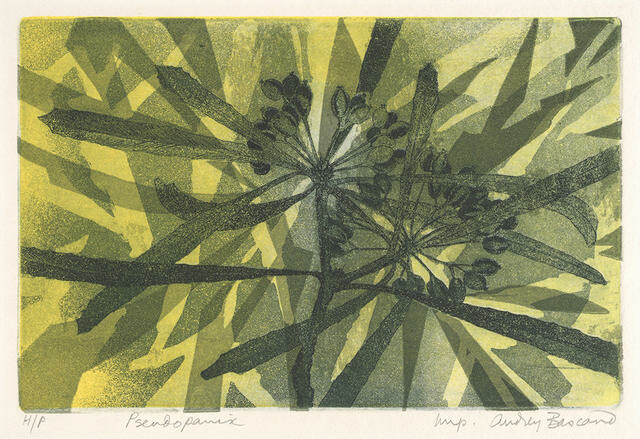 Pseudopanix