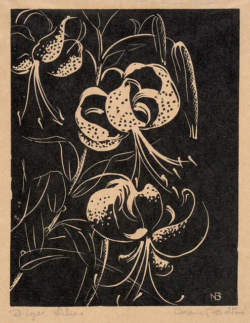 Tiger Lilies