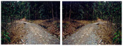 Doublet (after Heavenly Creatures), Parker/Hulme crime scene, Port Hills, Christchurch, New Zealand