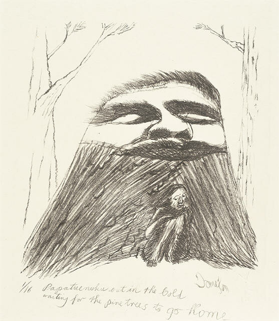 Papatuenuku Out In The Cold Waiting For The Pine Trees To Go Home