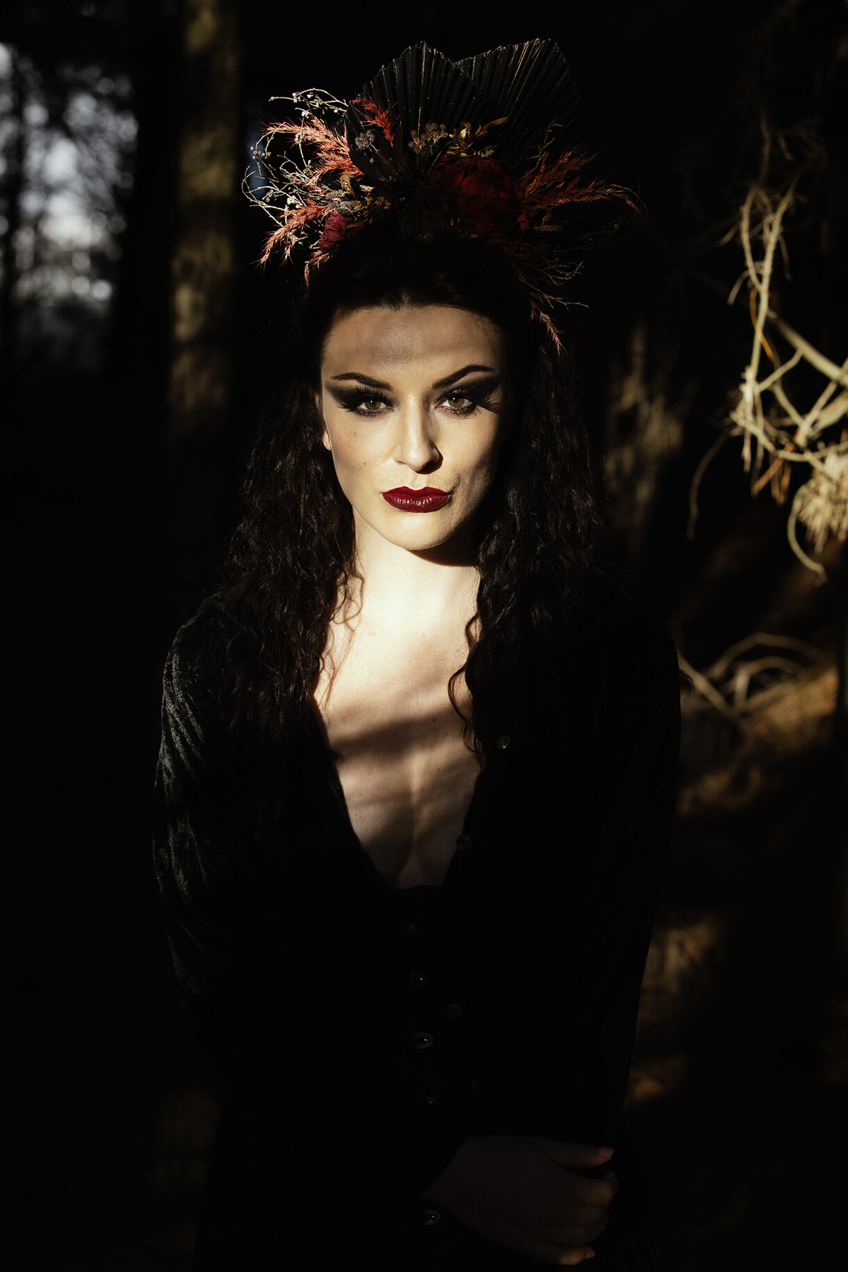 Reading of The Raven