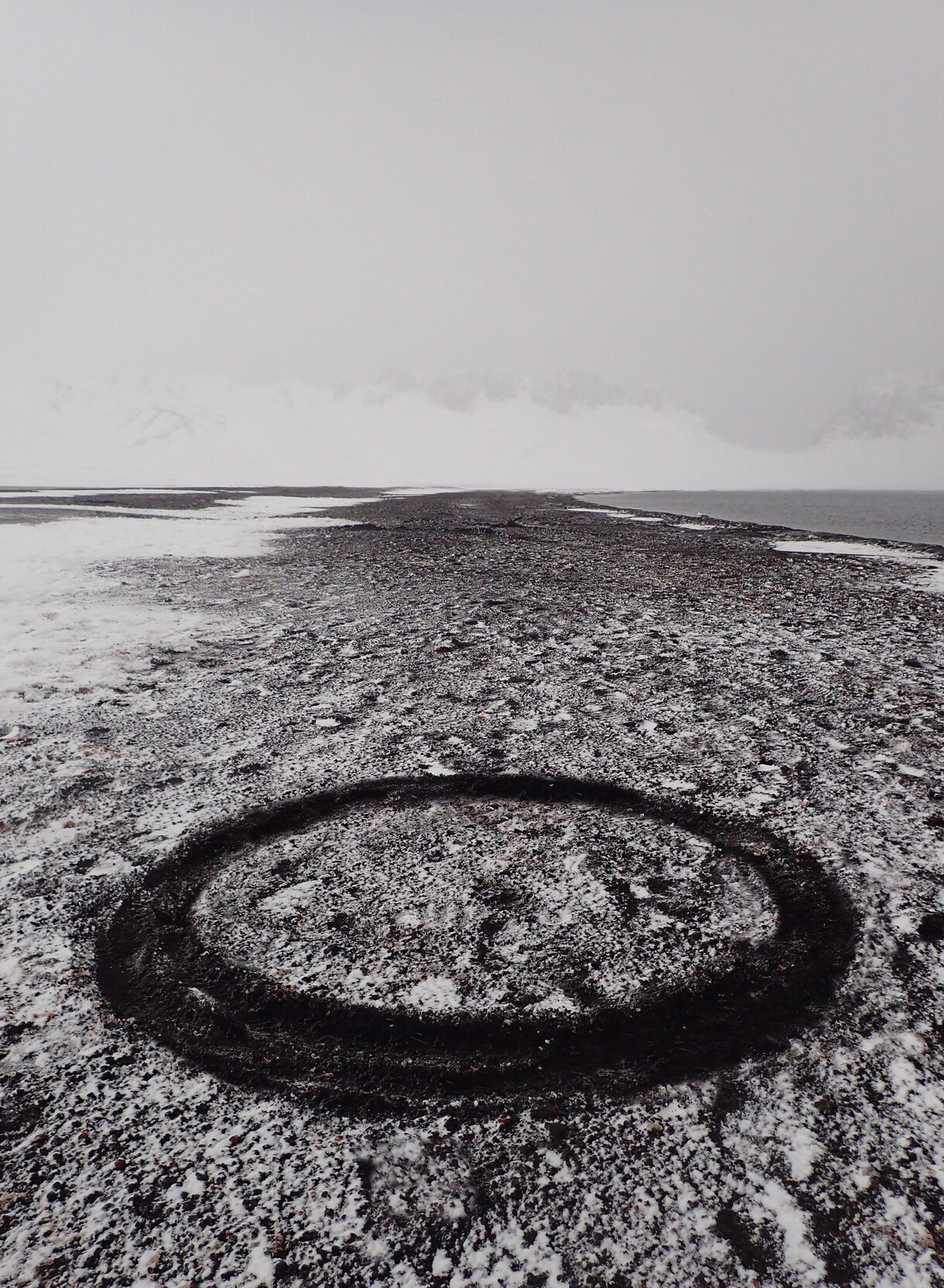 Looking South: Visual Art and Antarctica