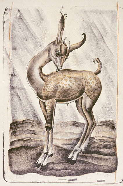 Gazelle