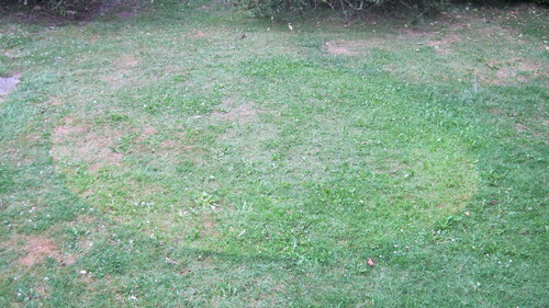 Lawn circle. Boy, those weeds are really thriving.