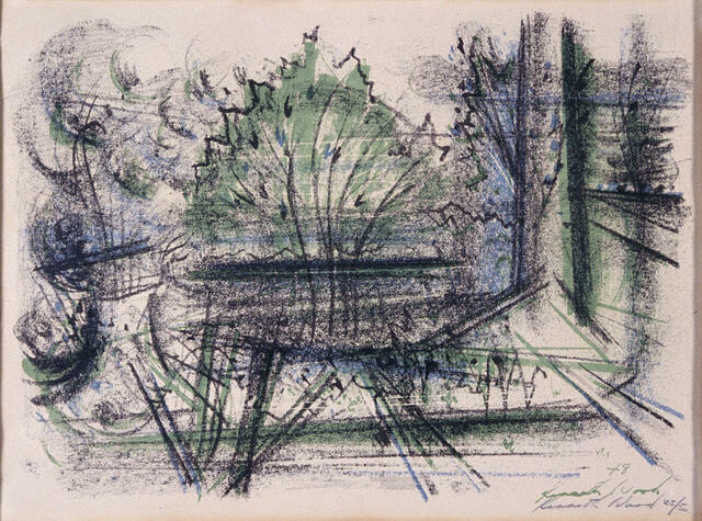 Spring Landscape