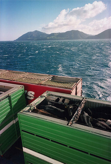 Cook Strait Crossing