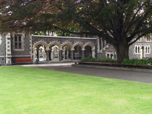 The Gingko tree located in South Quad of the Christchurch Arts Centre.