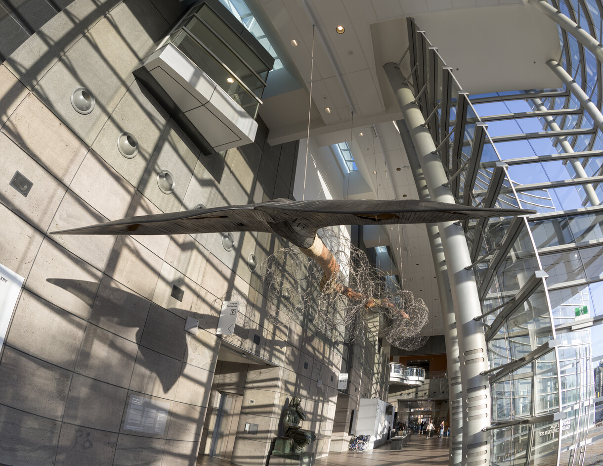 Ko Te Kihikihi Taku Ingoa