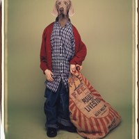 William Wegman