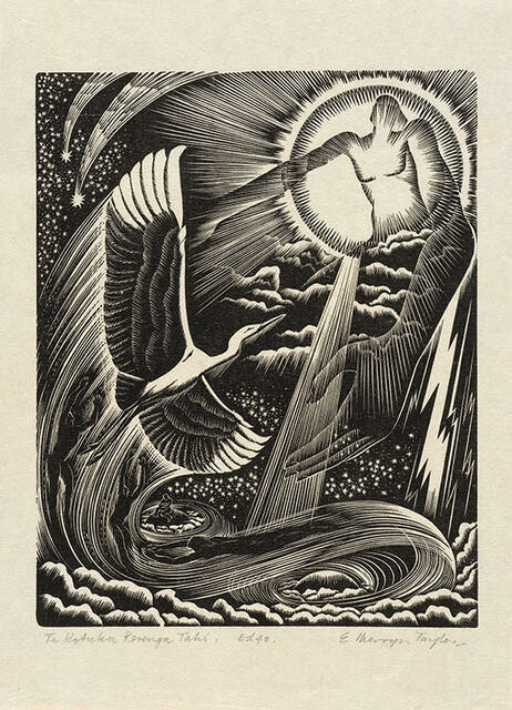 Te Kōtuku Rerenga Tahi