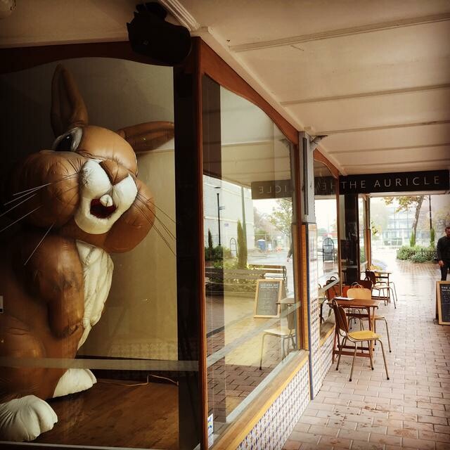 Image: uploads/2025_10/2011_250_nrs.jpg