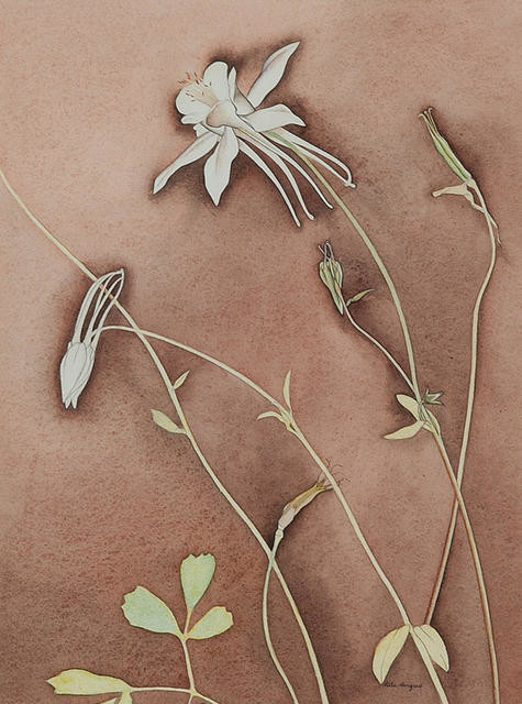 Image: uploads/2019_06/2003_59.jpg