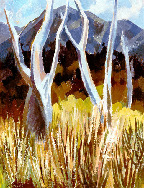 Forest Remnants