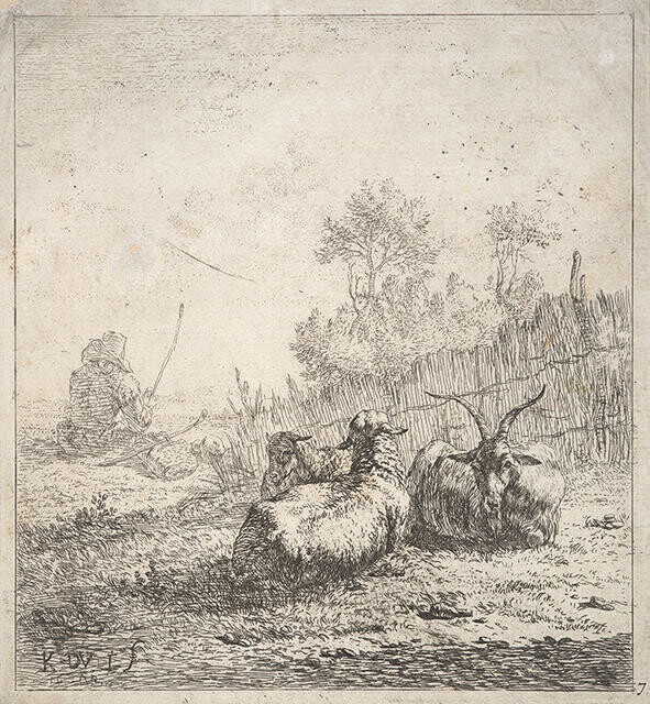 A Goat and Two Sheep