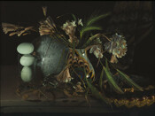 Still Life with Barley Grass and Freesia, Waiheke