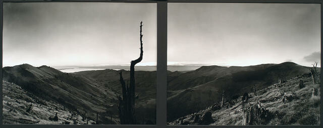 Image: uploads/2026_02/2004_18.a-b.jpg