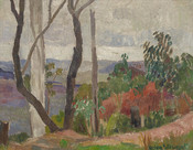 Bush Landscape