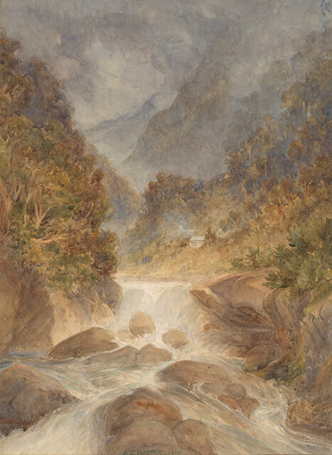 Waterfall & Bush