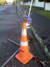Flowers in a road cone, February 22, 2012, Westminster Street, St Albans, Christchurch.