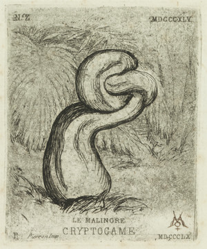Charles Meryon Le Malingre Cryptogame 1845. Etching. Collection of Canterbury Museum