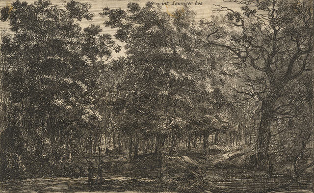 Int Seuniger Bos