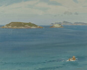 Off Whangarei Heads