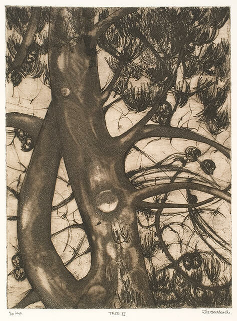 Tree II