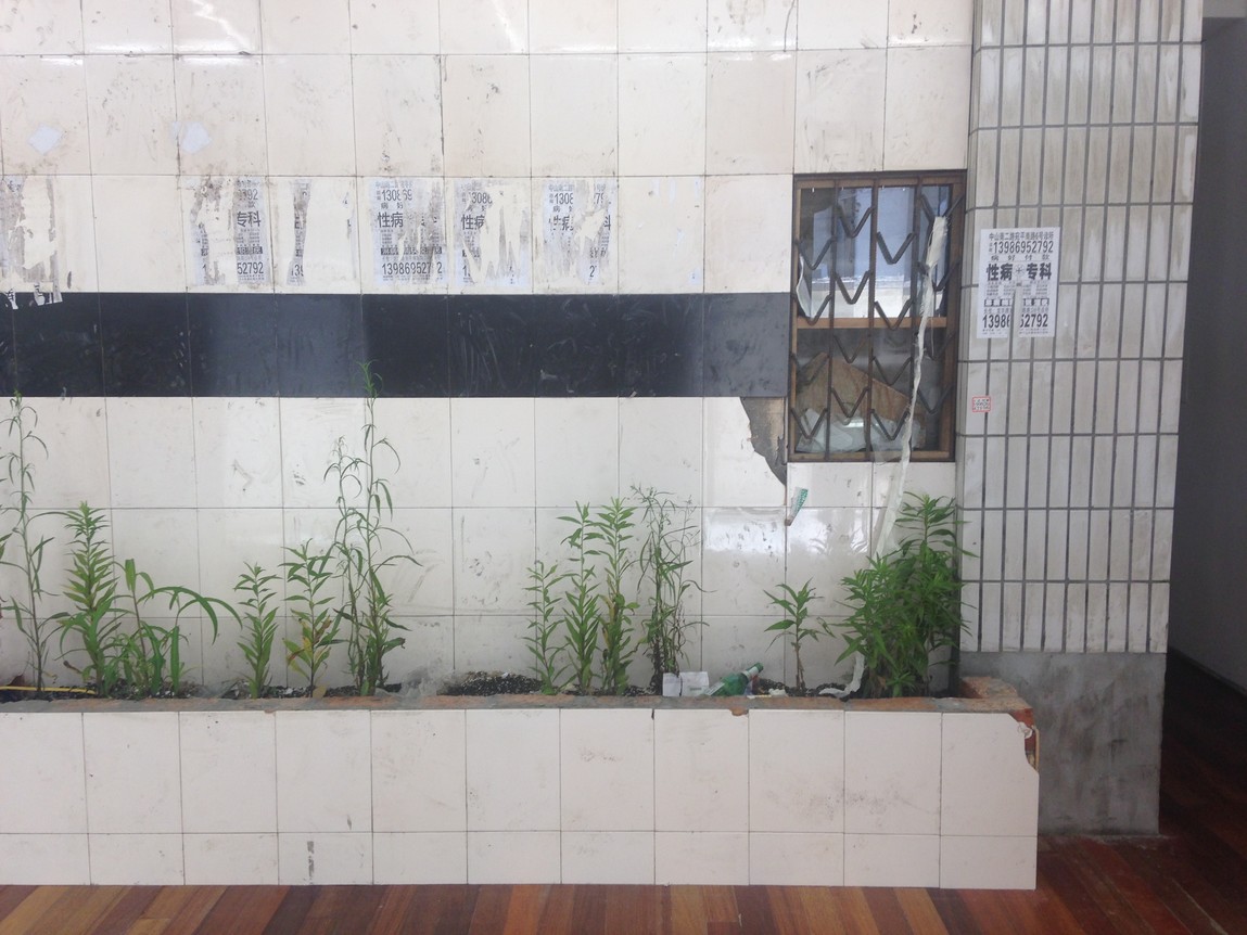 Zheng Bo Garden (Lane 62 Zhaojiabang Road) 2015. Installation from Weed Party at Leo Zu Projects. Photo: Sophie McKinnon  