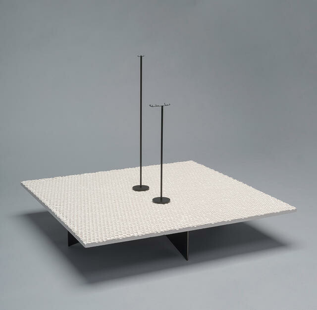 Bartle's bittern, Pikaihao bartlei