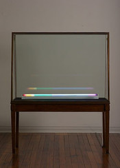 First Sight: Spencer Finch