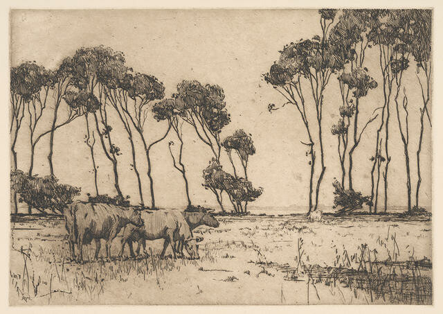 Lake Wairarapa