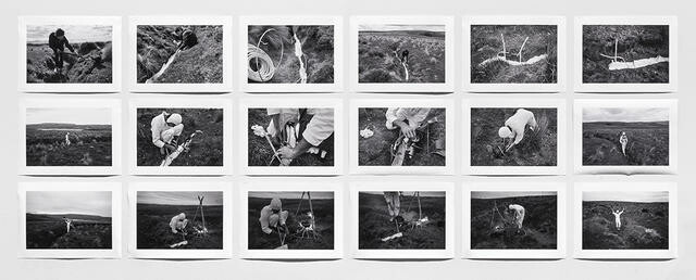Image: uploads/2025_06/2012_0195E1-18.jpg