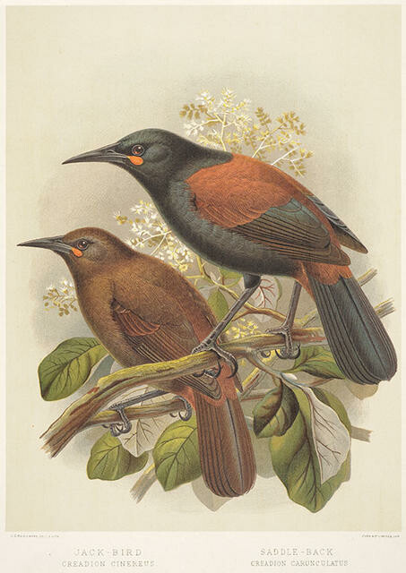 Image: uploads/2025_11/2010_011.jpg