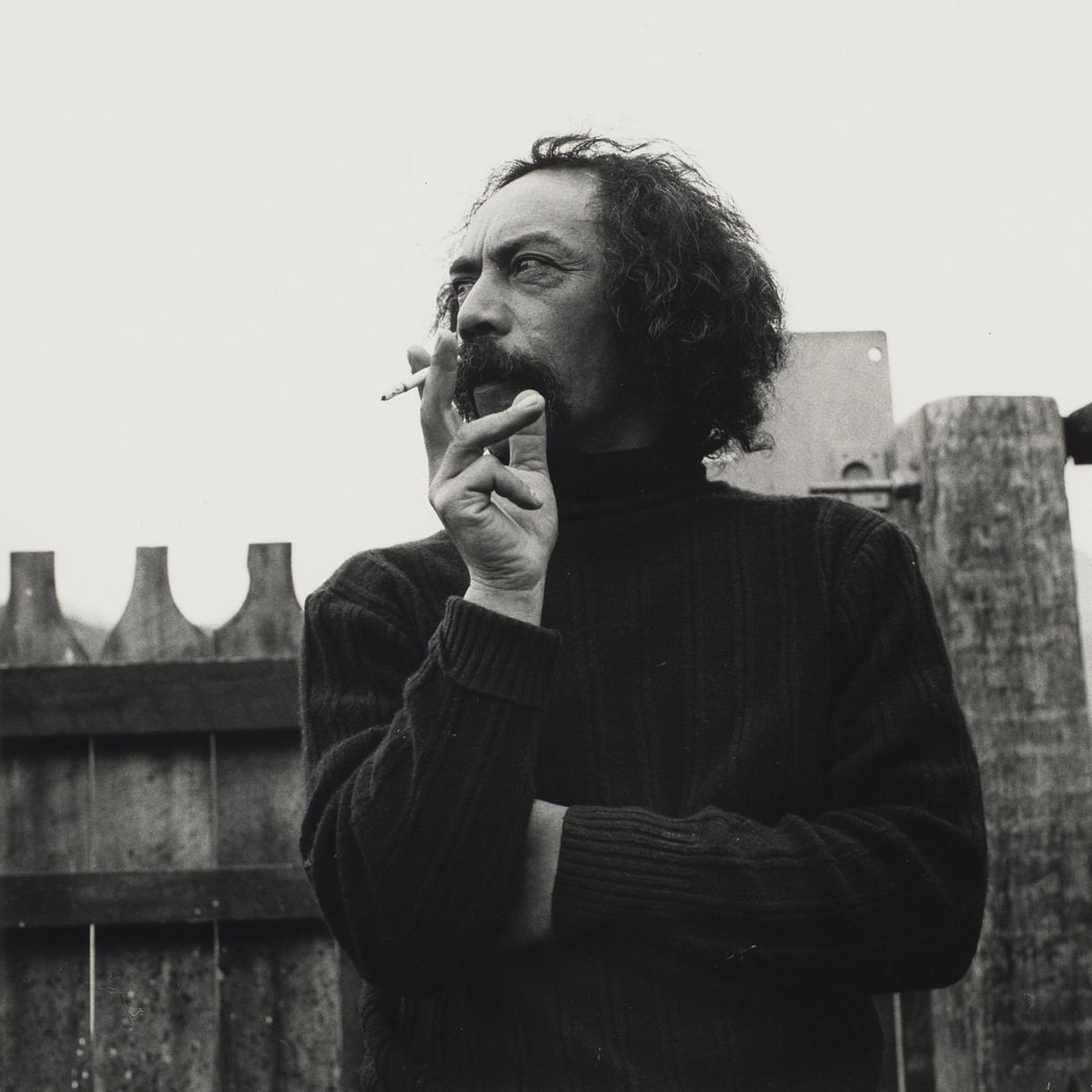 Merata Mita's Hotere