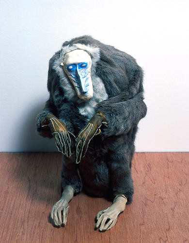 Image: uploads/2019_09/2008_019.jpg