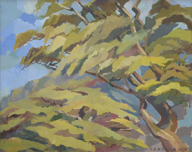 Mountain Beeches