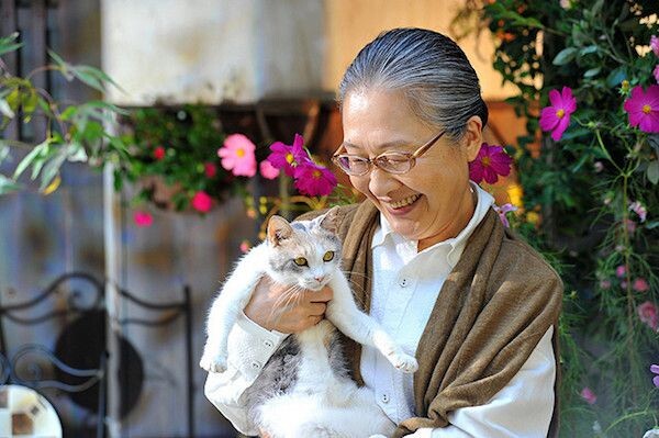 Japanese Film Festival: Finding Calico  先生と迷い猫