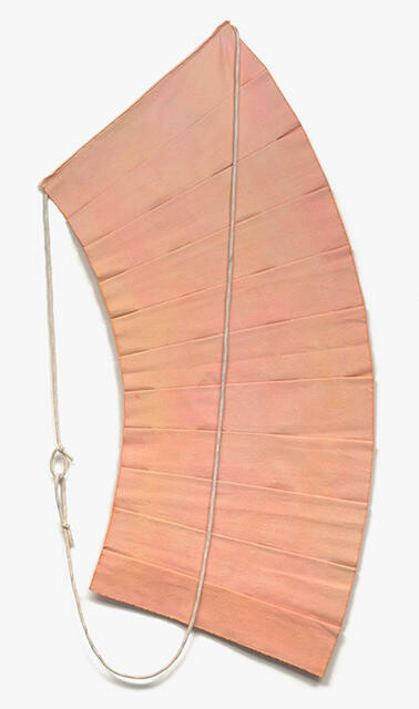 Image: uploads/2026_02/2025_2425E2.jpg