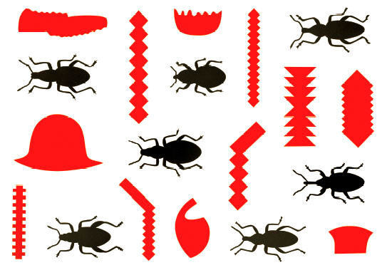 Black Insects, Red Primitives