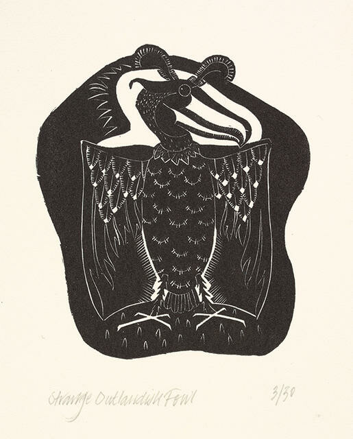 Strange Outlandish Fowl