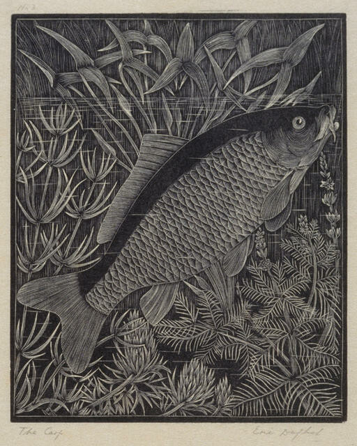 The Carp