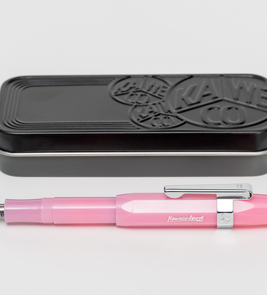 Fountain Pen - Pink Fine Nib