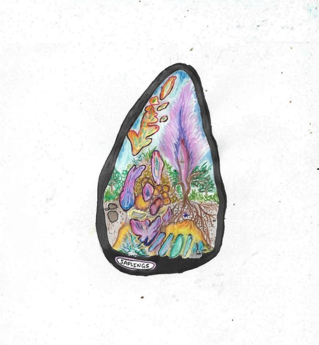 Image: uploads/2018_05/Saplings_Badge_03_preview.jpeg