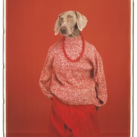 Exhibition Preview: Being Human