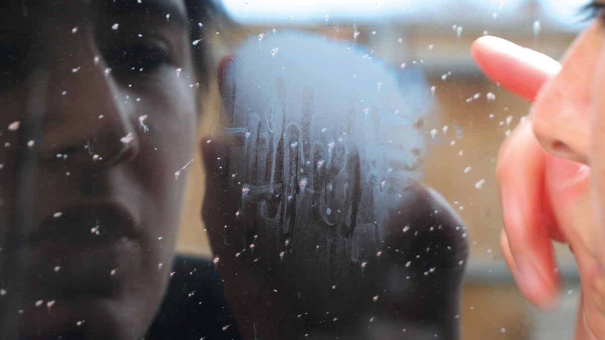 Māori Moving Image Late Night